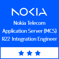 NTAS R22 Integration Engineer