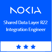 SDL R22 Integration Engineer