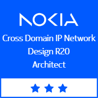 Cross Domain IP Network Design R20 Architect