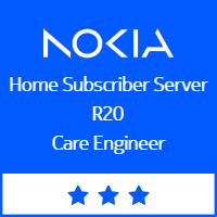 HSS R20 Care Engineer