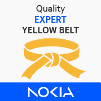 Quality Expert Yellow Belt