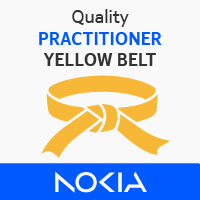Quality Practitioner Yellow Belt 